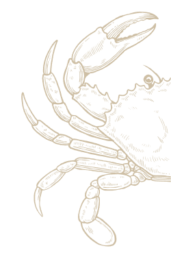 crabe2 1
